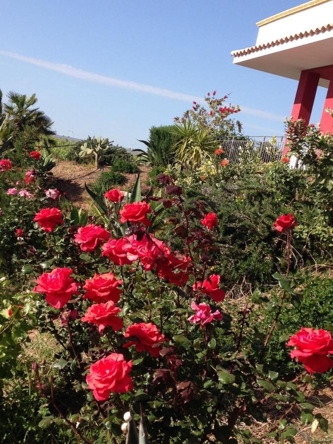 Casa Vacanze Surriano ชากกา ภายนอก รูปภาพ