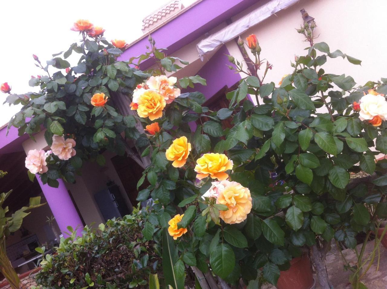 Casa Vacanze Surriano ชากกา ภายนอก รูปภาพ